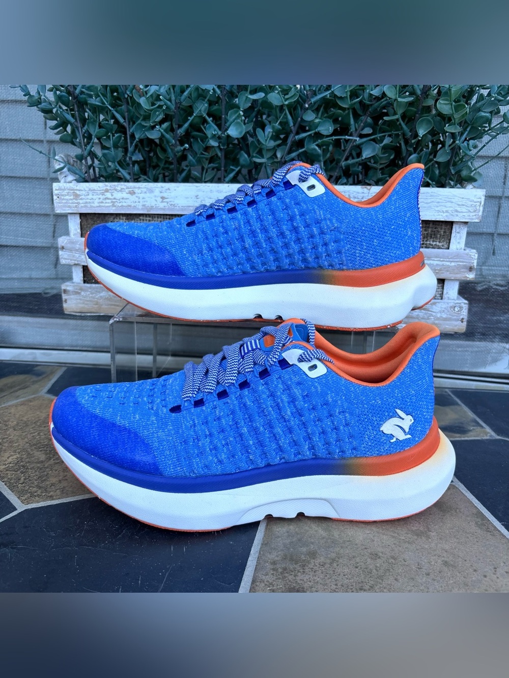 Rabbit Dream Chaser Running Shoes
